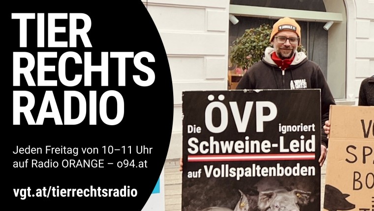 Bild zu dieser Radiosendung