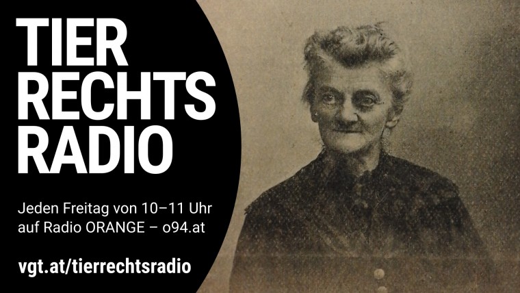 Bild zu dieser Radiosendung
