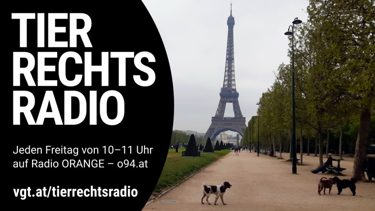 Bild zu dieser Radiosendung