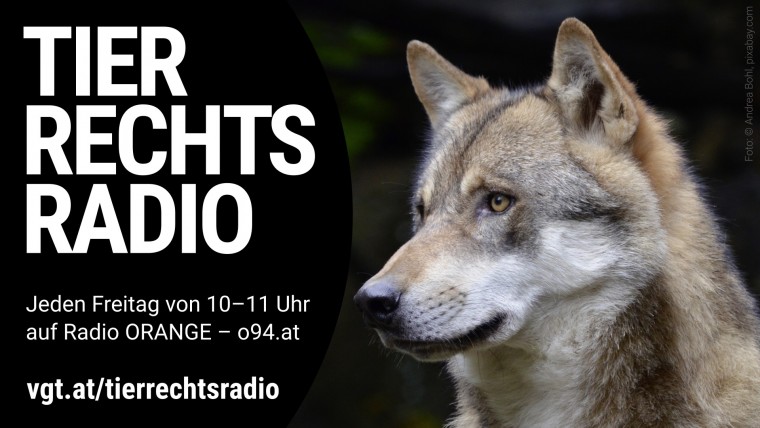 Bild zu dieser Radiosendung