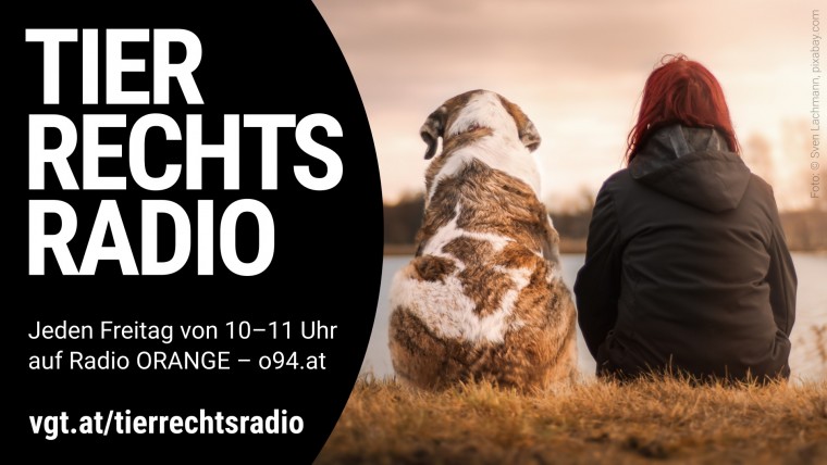 Bild zu dieser Radiosendung