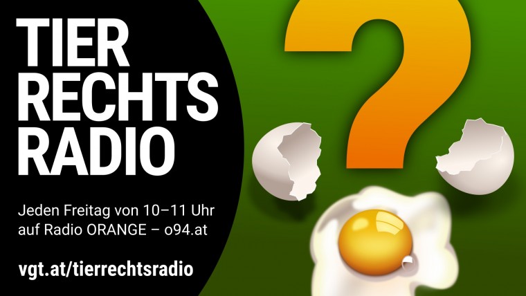 Bild zu dieser Radiosendung