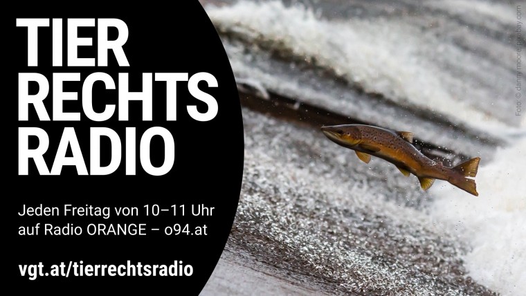 Bild zu dieser Radiosendung