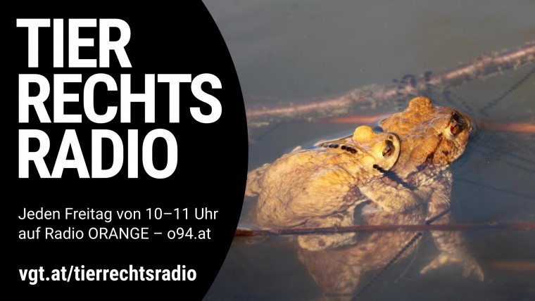 Bild zu dieser Radiosendung