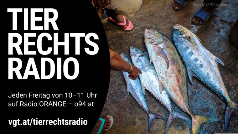 Bild zu dieser Radiosendung