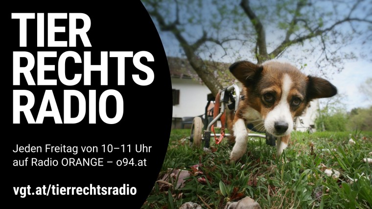 Bild zu dieser Radiosendung
