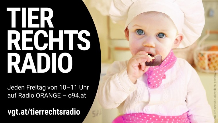 Bild zu dieser Radiosendung