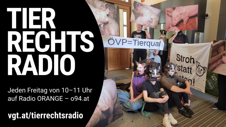 Bild zu dieser Radiosendung
