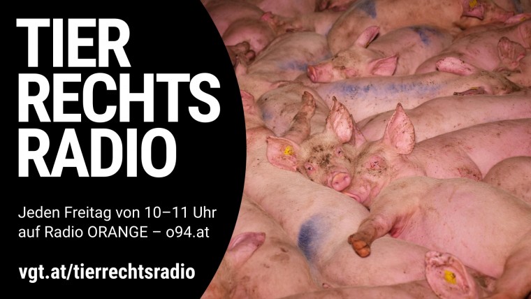 Bild zu dieser Radiosendung
