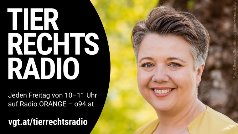 Bild zu dieser Radiosendung
