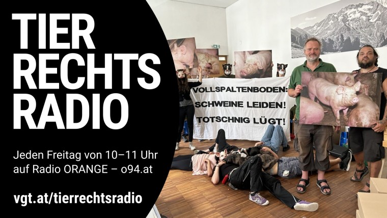 Bild zu dieser Radiosendung