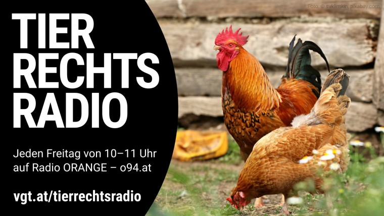 Bild zu dieser Radiosendung