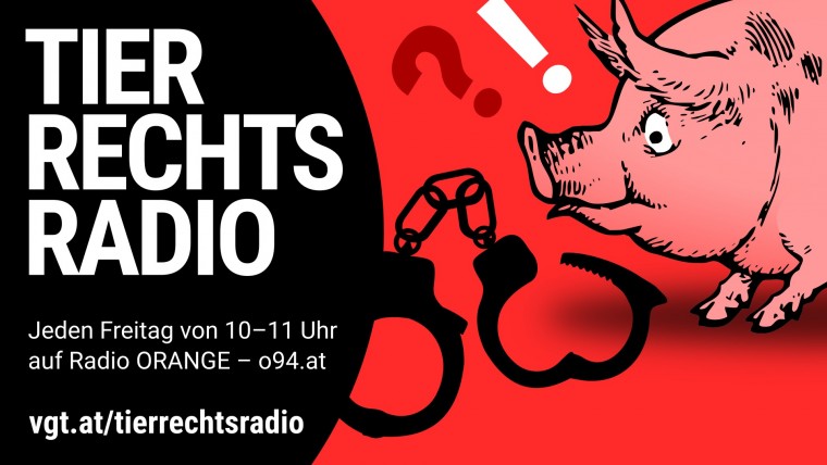 Bild zu dieser Radiosendung