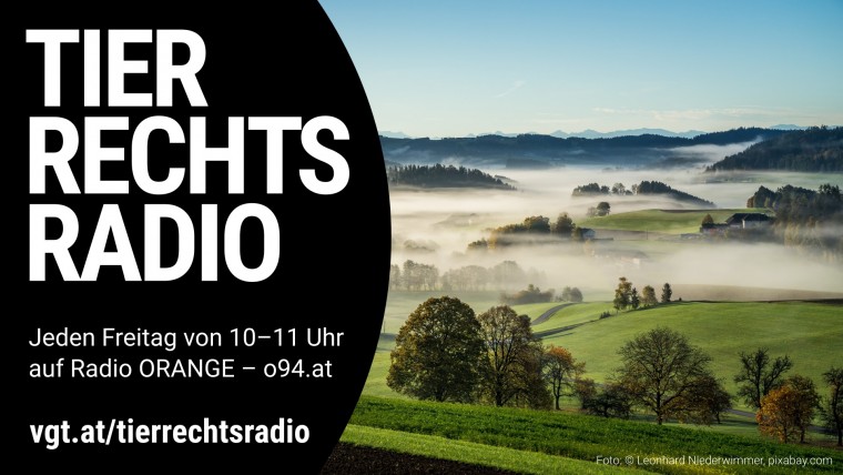 Bild zu dieser Radiosendung