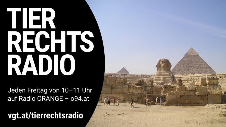 Bild zu dieser Radiosendung