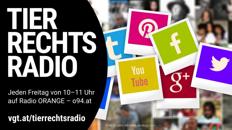 Bild zu dieser Radiosendung