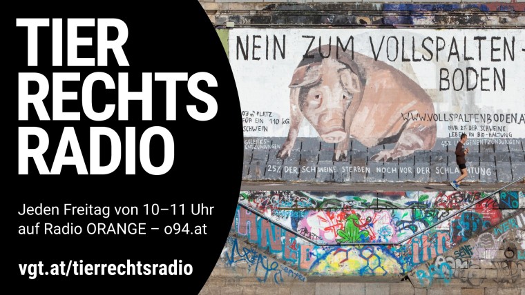 Bild zu dieser Radiosendung
