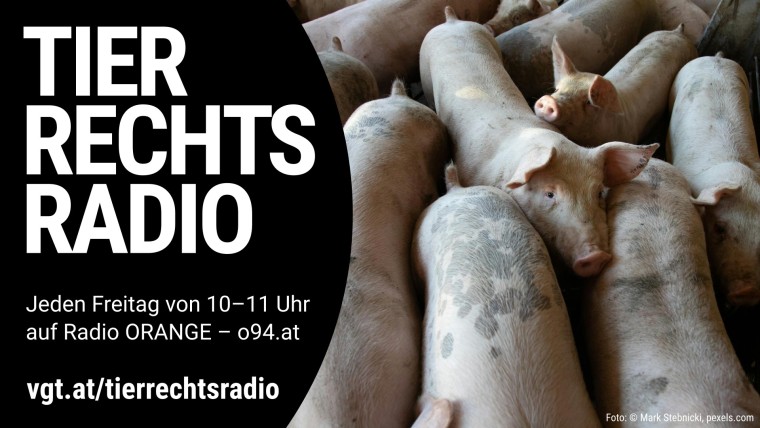 Bild zu dieser Radiosendung