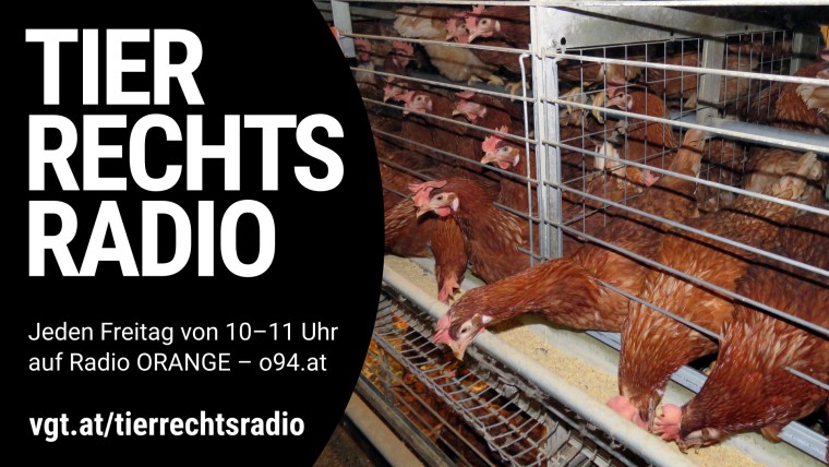 Bild zu dieser Radiosendung