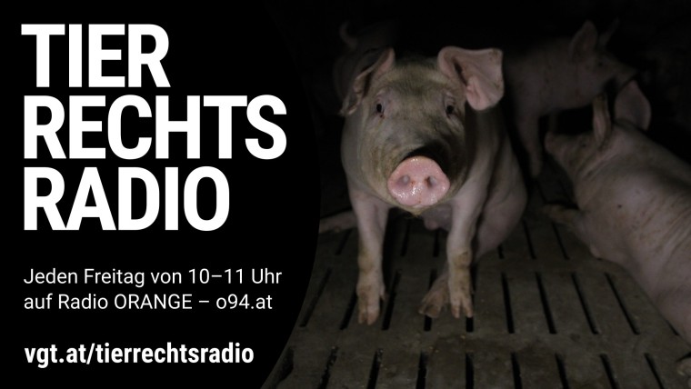 Bild zu dieser Radiosendung
