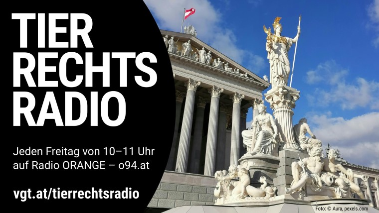 Bild zu dieser Radiosendung