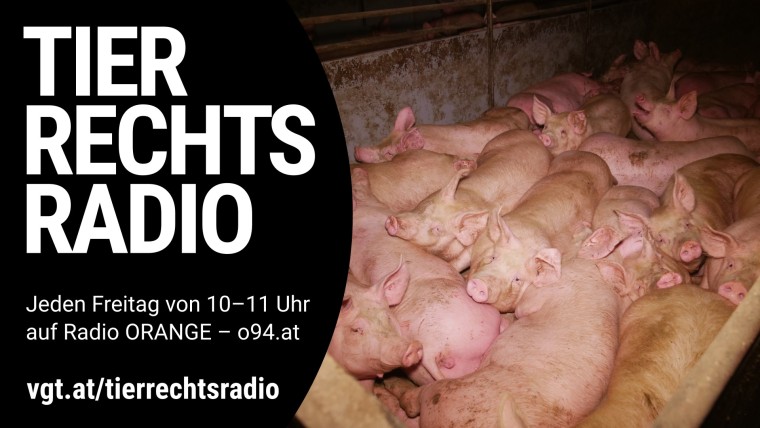 Bild zu dieser Radiosendung