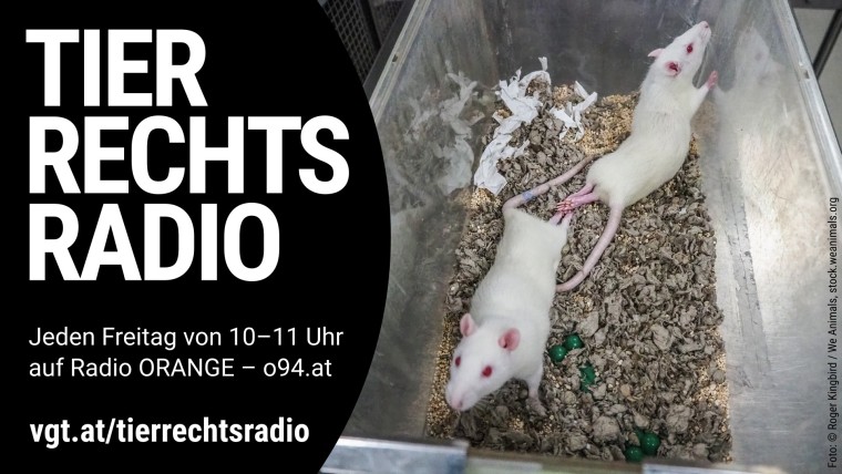 Bild zu dieser Radiosendung