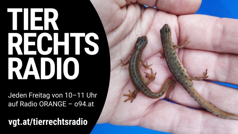 Bild zu dieser Radiosendung