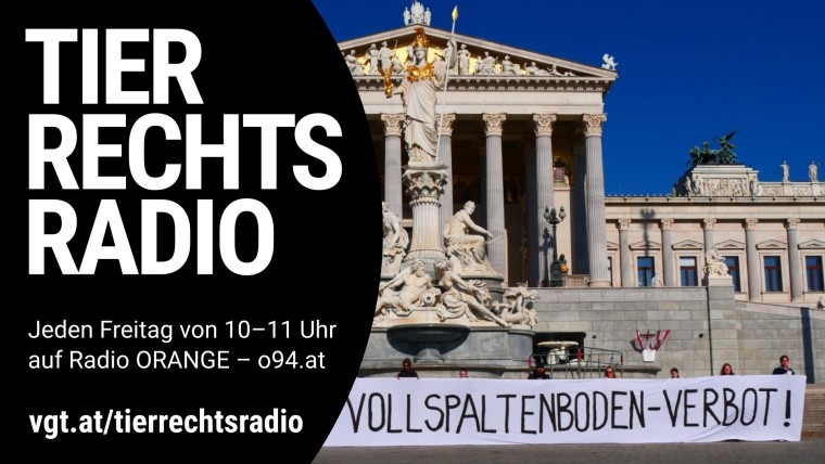 Sendungsbild für: Das Parlament hat ein Gesetz zum Schweine-Vollspaltenboden beschlossen