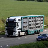 Tiertransporte