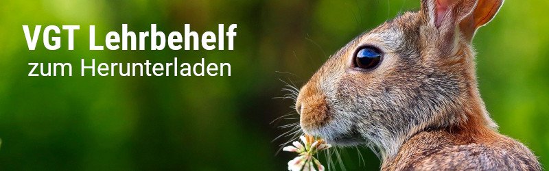 Tierschutzunterricht für zu Hause