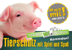 Cover Eltern-Folder