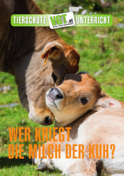 Cover Rinder-Faltblatt