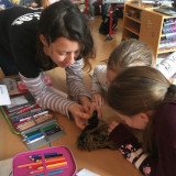 Einblicke in den VGT- Tierschutzunterricht