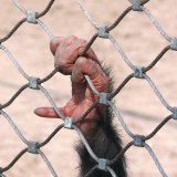Zoo
