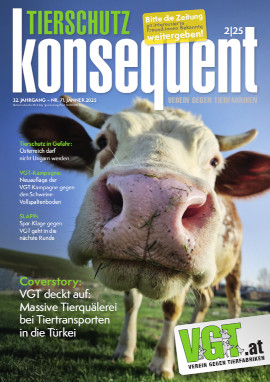 Titelseite der Jänner 2025-Ausgabe des Tierschutz konsequent Magazins