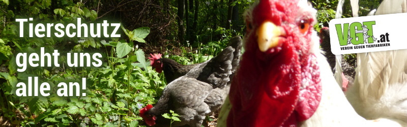 Tierschutz geht uns alle an!