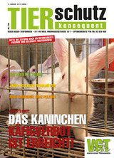 Tierschutz Konsequent Nr. 37