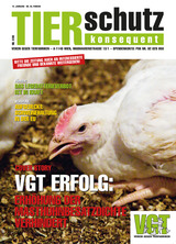 Tierschutz Konsequent Nr. 39
