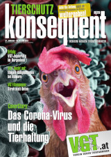 Tierschutz Konsequent Nr. 62
