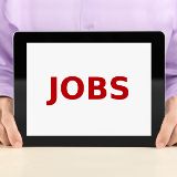 Jobs beim VGT